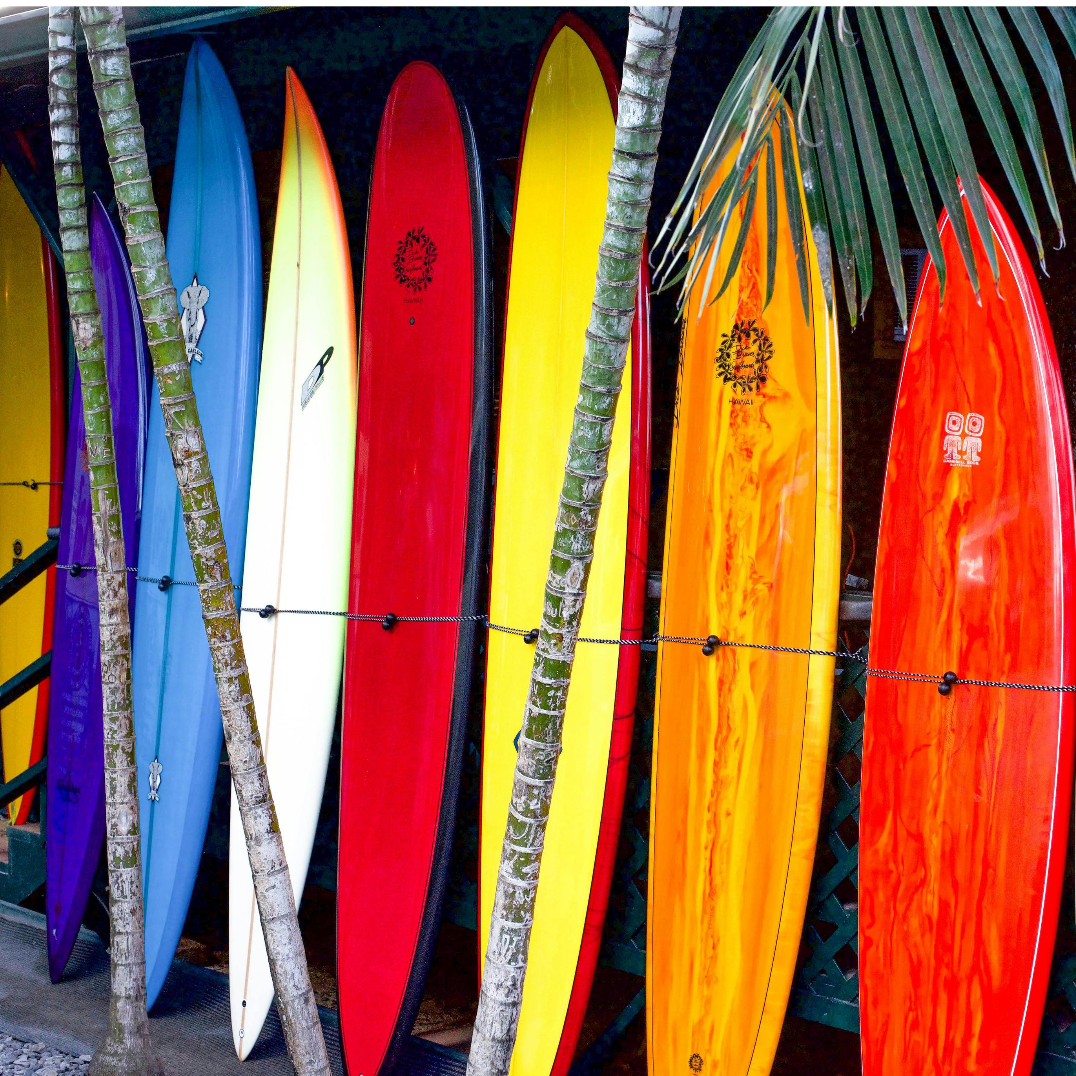 Summer Surf vs. Winter Surf, which season is your ideal choice?